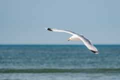 DSC_0894-Verbessert-RR