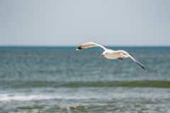 DSC_0896-Verbessert-RR