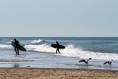 DSC_0907-Verbessert-RR