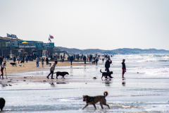 DSC_0971-Verbessert-RR