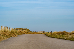 DSC_1066-Verbessert-RR