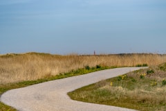 DSC_1133-Verbessert-RR