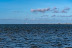 DSC_4143-Verbessert-RR