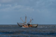 DSC_4309-Verbessert-RR