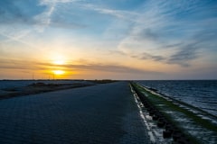 DSC_5988-Verbessert-RR