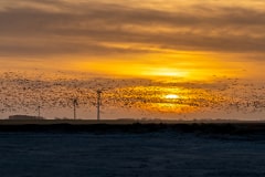 DSC_6018-Verbessert-RR