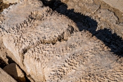 DSC_6931-Verbessert-RR