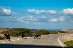 DSC_7274-Verbessert-RR