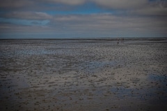 DSC_1961