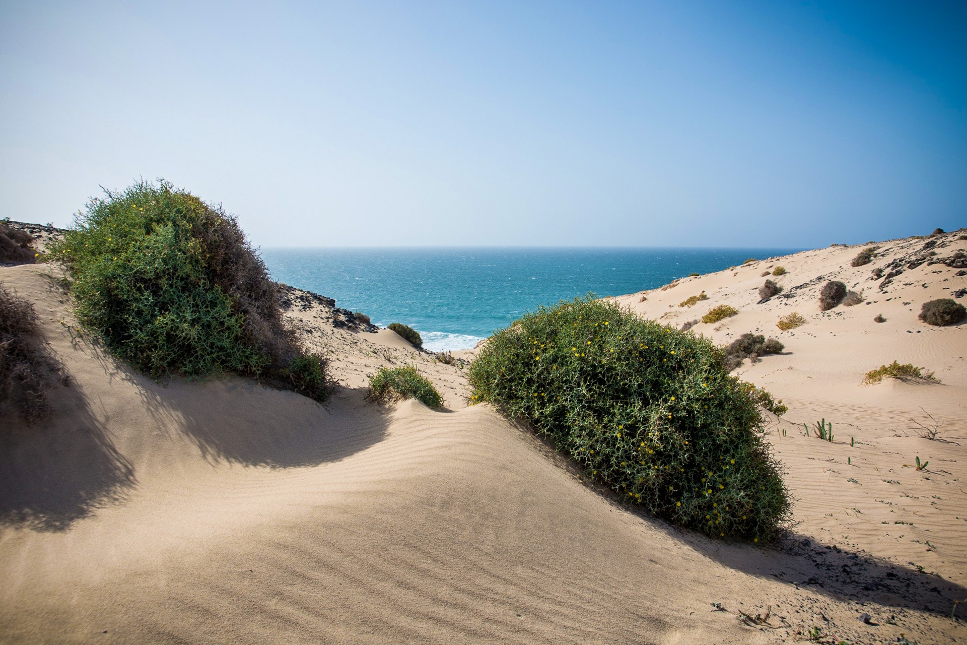 fuerteventura im fruehling 2014
