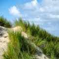 Düne Texel 2019