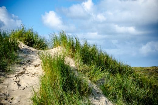 Düne Texel 2019