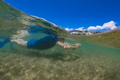 DCIM\105GOPRO\G0163413.JPG