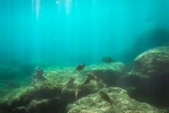 DCIM\106GOPRO\G0244154.JPG